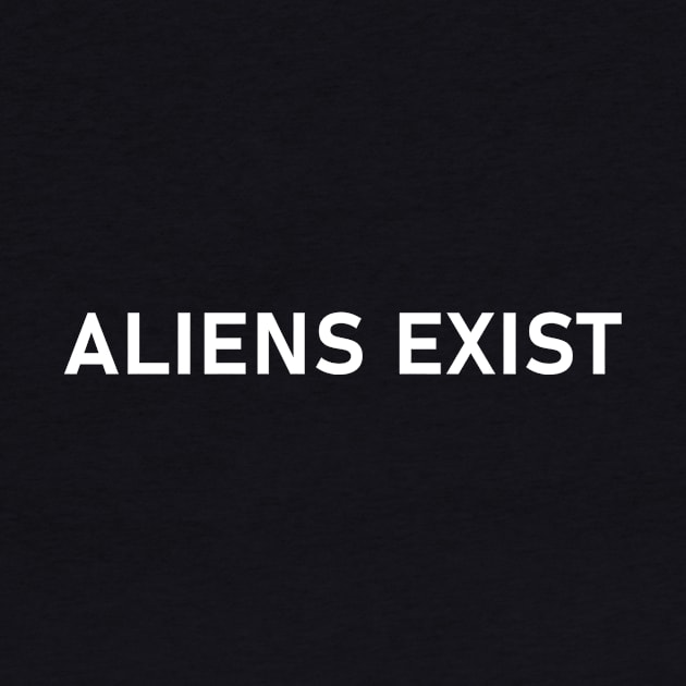 Aliens Exist Aesthetic Alien UFO Extraterrestrial by wbdesignz